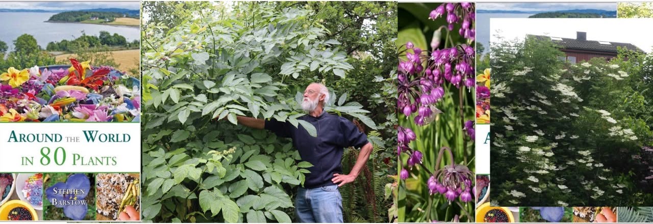 15. September 26 kl 18-20: ØKOUKA Foredrag med Stephen Barstow: Forest Garden Plants for Trøndelag